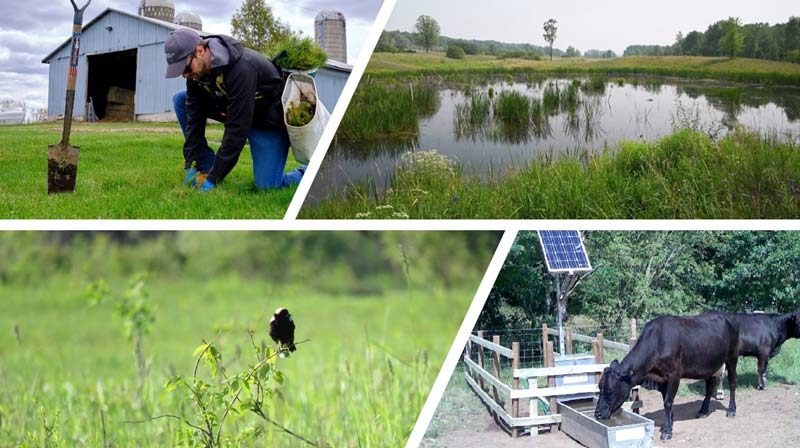 EOFSC - Eastern Ontario Farm Stewardship Collaborative